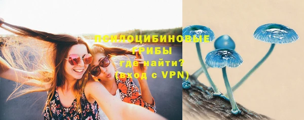 гашиш Аркадак