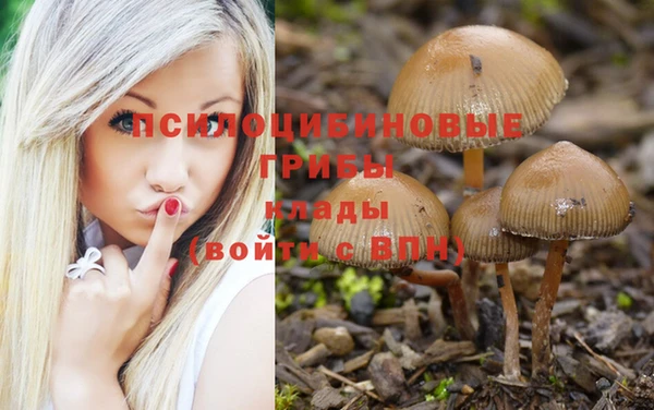 винт Армянск
