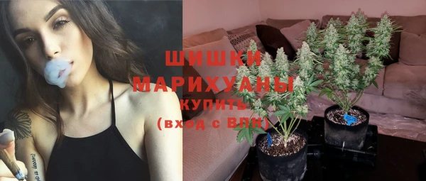 винт Армянск